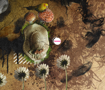 官方认证可信的手机号轰炸测试